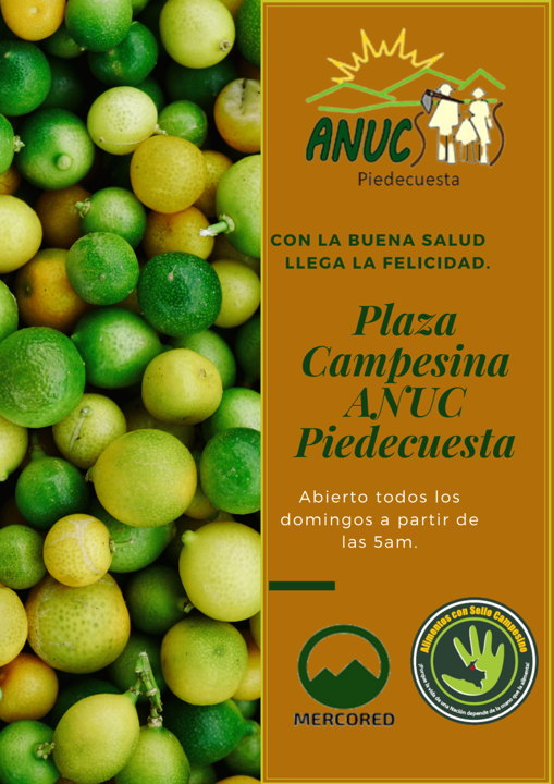 Publicidad ANUC